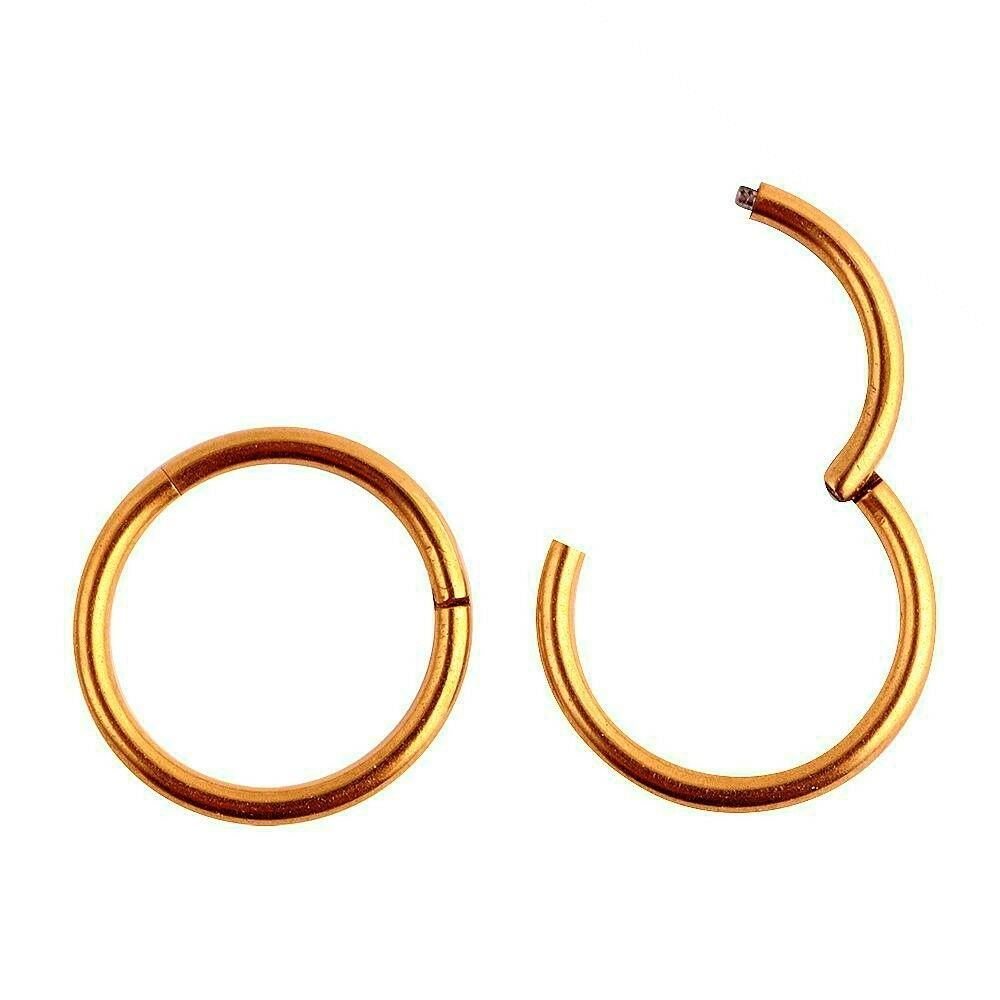 Clicker Septum Piercing Helix Ring Scharnier Ohr Segment Tragus Lippe Klicker